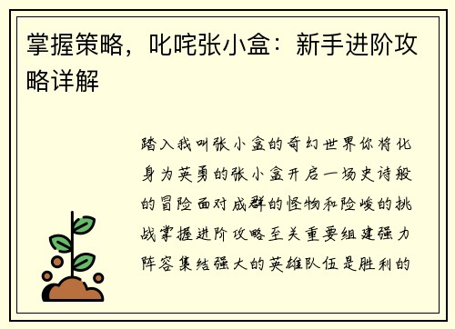 掌握策略，叱咤张小盒：新手进阶攻略详解